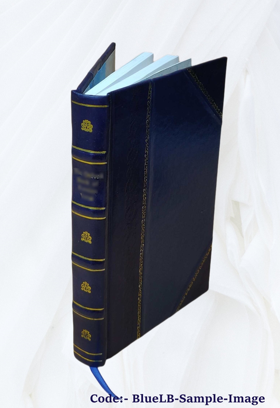 Distressing dialougues / by Nancy Boyd ; with a preface by Edna [Leather Bound]