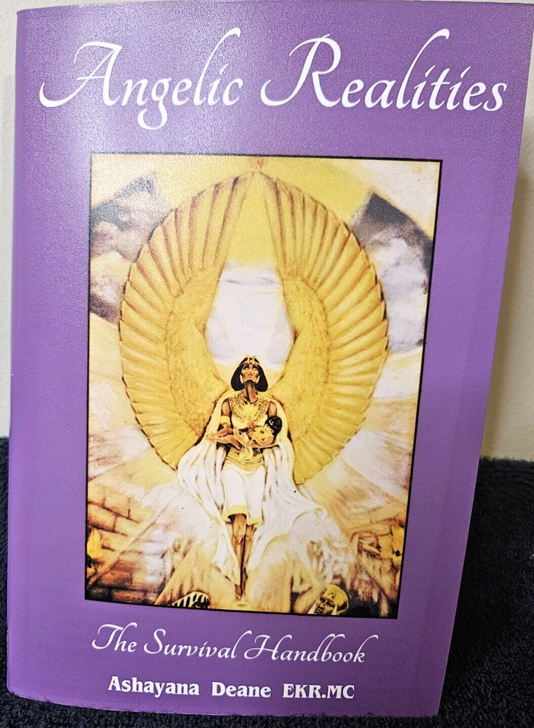 Angelic Realities The Survival Handbook By Ashayana Deane Ekr MC Booklet GET IT!