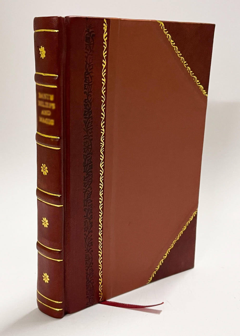 The Holy Bible : a Facsimile in a Reduced Size of the Authorize [Leather Bound]