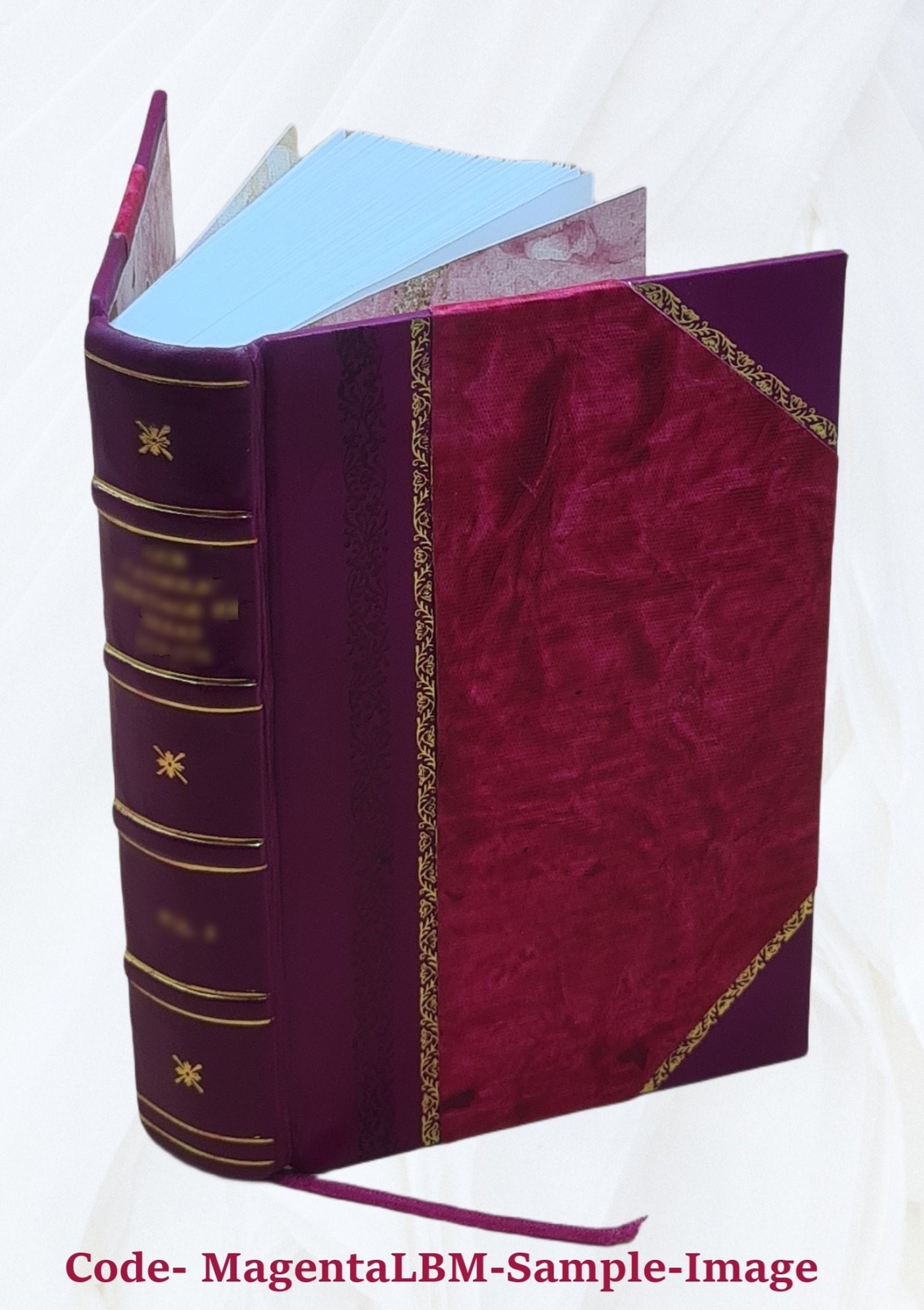 The lodge goat Goat rides butts and goat hairs 1902 [Leather Bound]