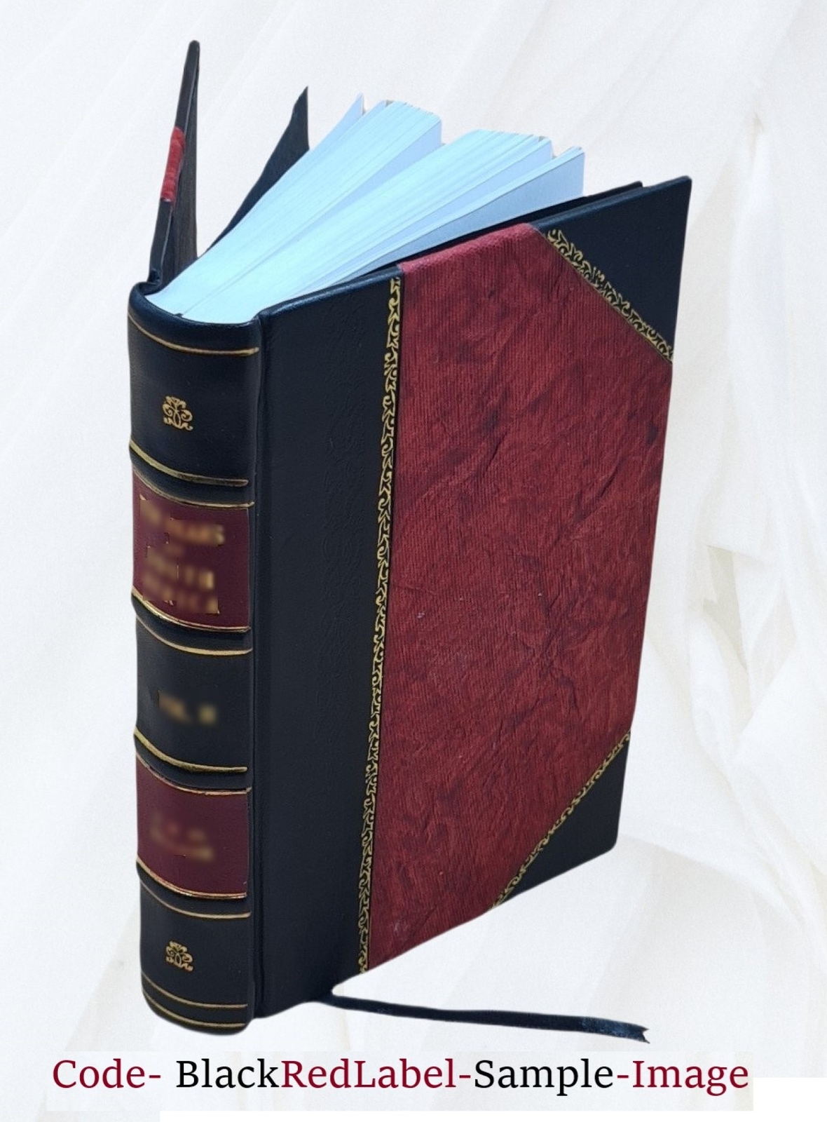The Indian Buddhist Iconography, Mainly Based On The S?Dhanam?L? [Leather Bound]