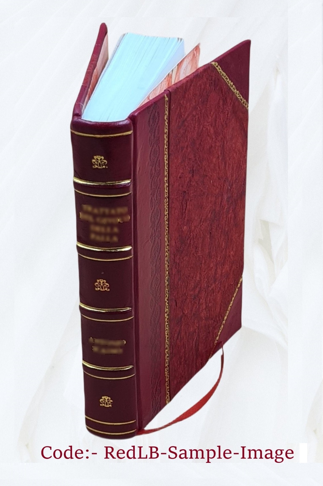 The Principles Of Light And Color 1896 By Edwin D. Babbitt [Leather Bound]