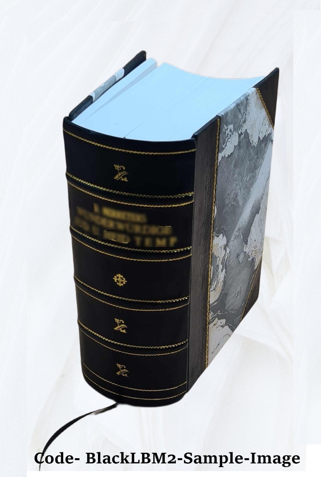The lodge goat Goat rides butts and goat hairs 1902 [Leather Bound]