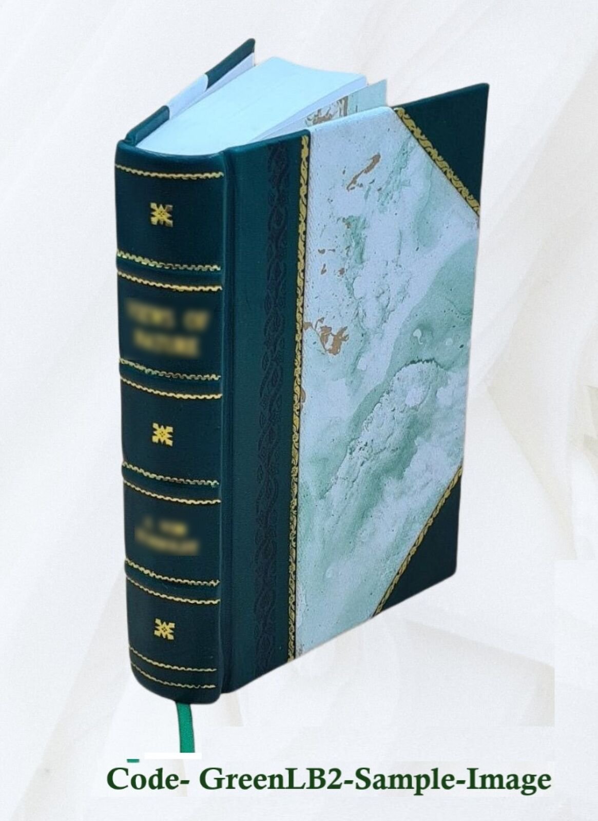 The Indian Buddhist Iconography, Mainly Based On The S?Dhanam?L? [Leather Bound]