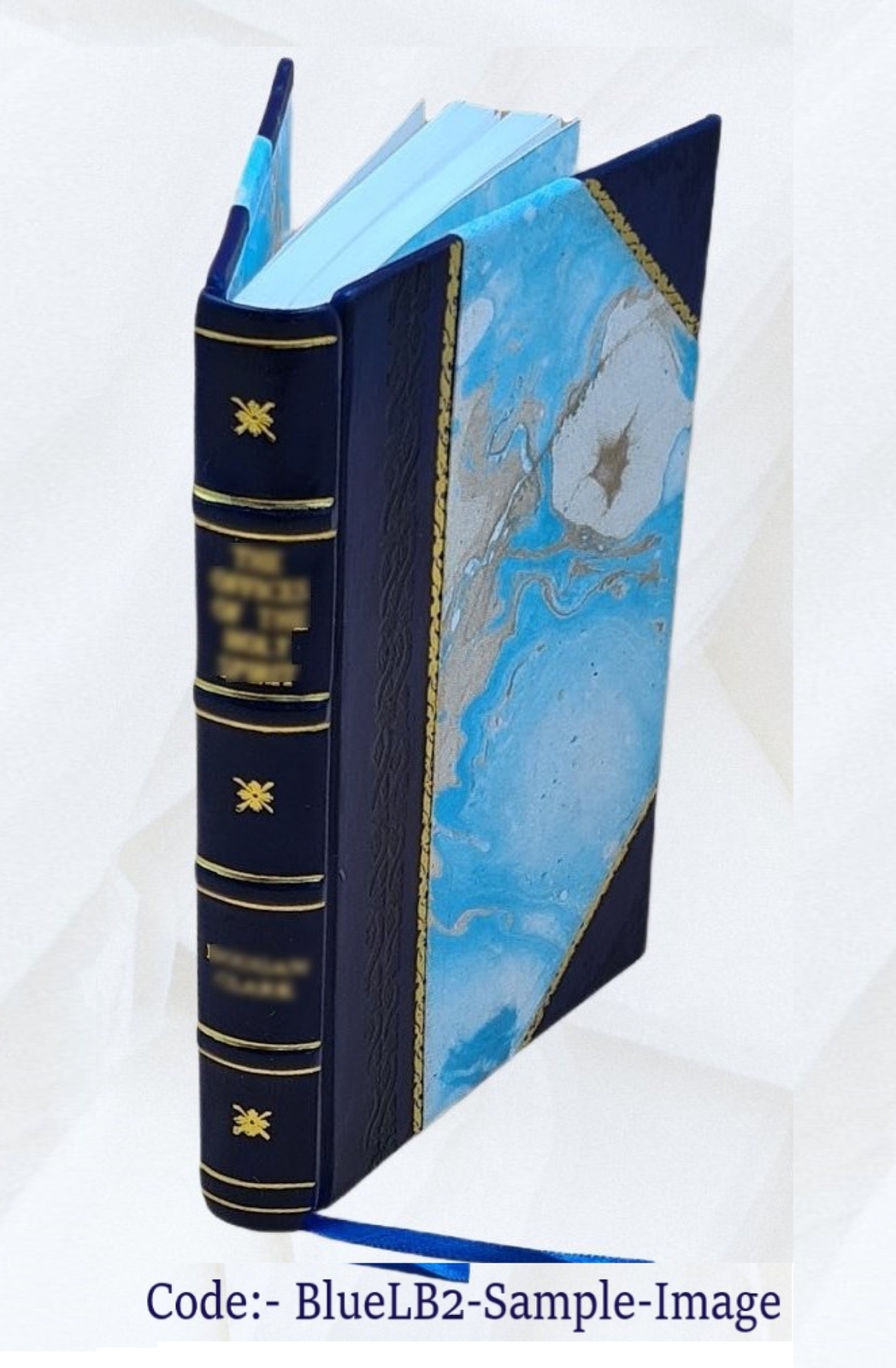 Distressing dialougues / by Nancy Boyd ; with a preface by Edna [Leather Bound]