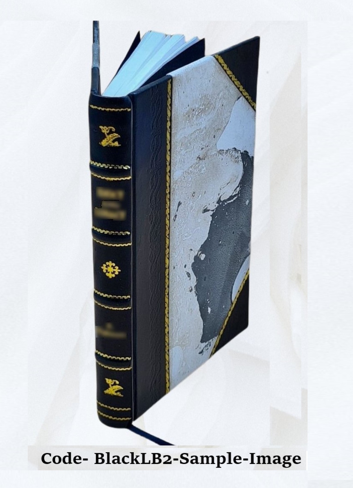 Distressing dialougues / by Nancy Boyd ; with a preface by Edna [Leather Bound]