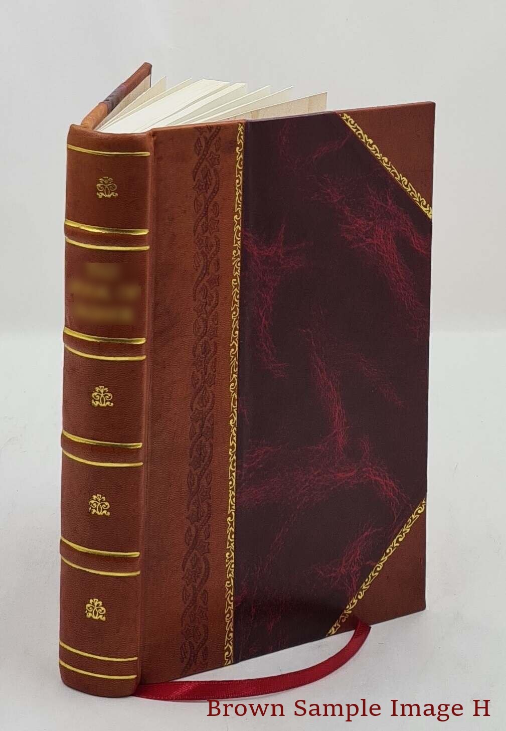 The Translated Bible 1534-1934 1934 by Martin Luther(Tr.) [Leather Bound]