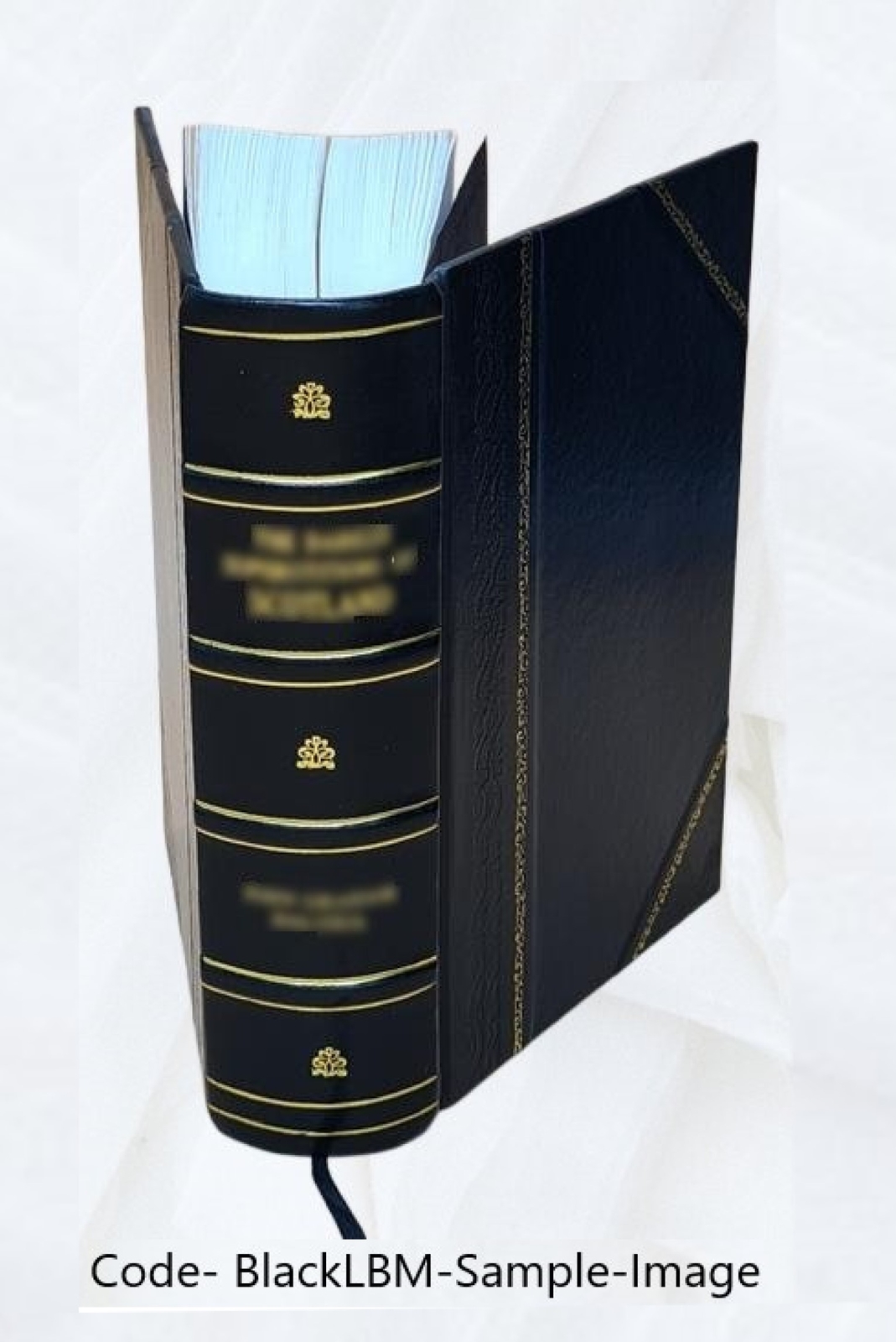 The lodge goat Goat rides butts and goat hairs 1902 [Leather Bound]